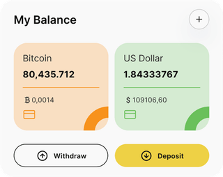 Viva Wallet automated trading solution — dashboard overview